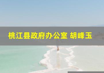 桃江县政府办公室 胡峰玉